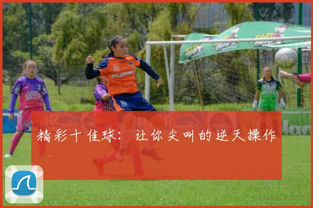 精彩十佳球:让你尖叫的逆天操作