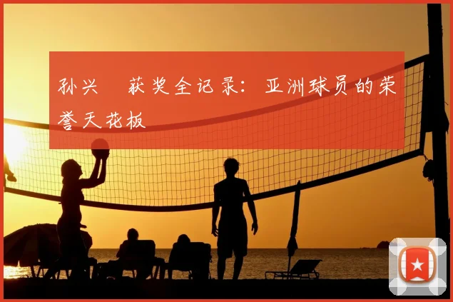 孙兴慜获奖全记录:亚洲球员的荣誉天花板
