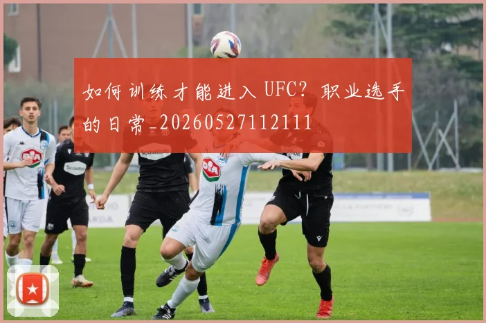 如何训练才能进入 UFC?职业选手的日常_20260527112111
