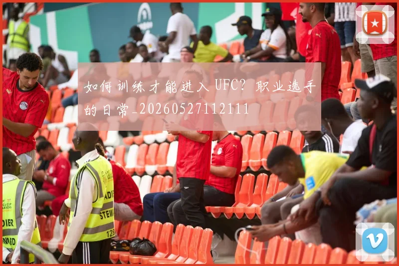 如何训练才能进入 UFC?职业选手的日常_20260527112111